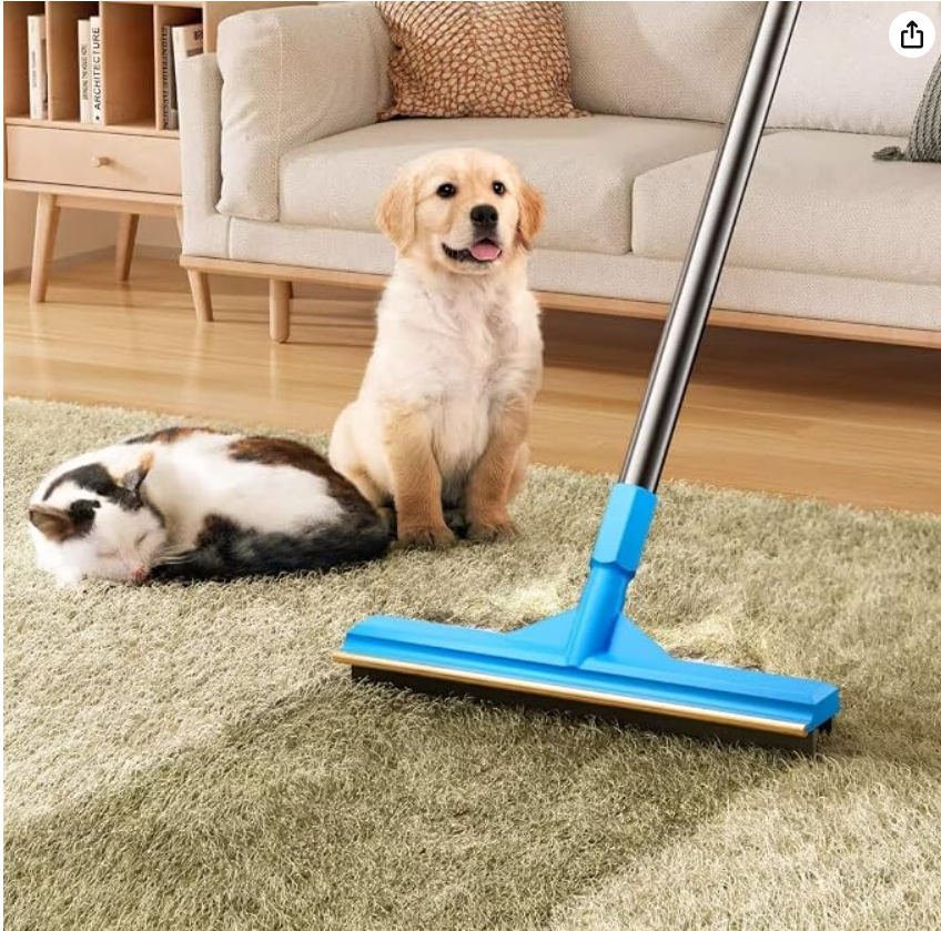 Pet Hair Removal Rake