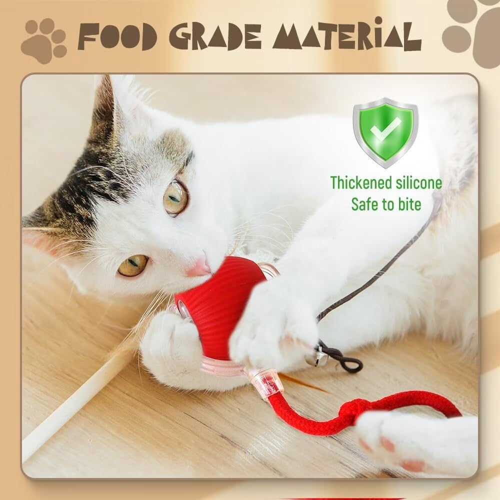Smart Ball for cat