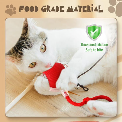 Smart Ball for cat