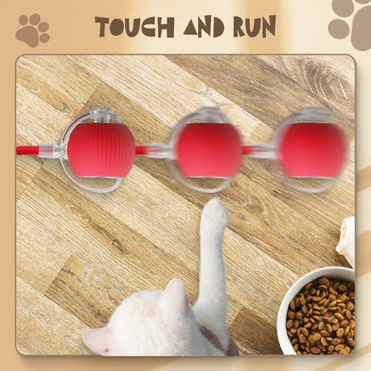 Smart Ball for cat