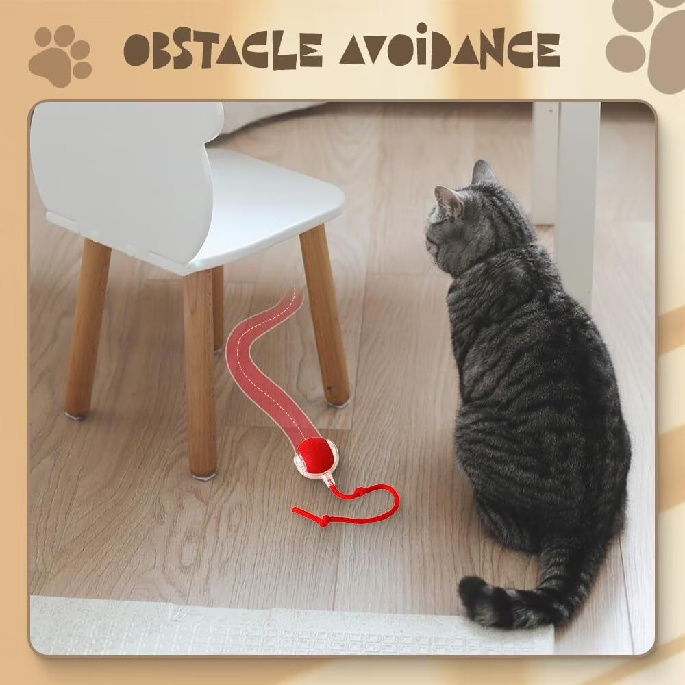 Smart Ball for cat