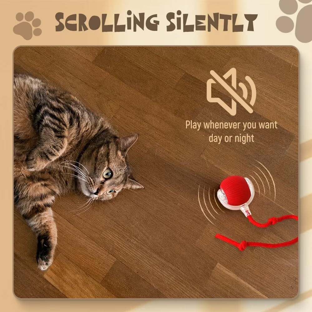 Smart Ball for cat