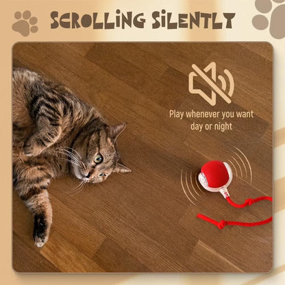 Smart Ball for cat