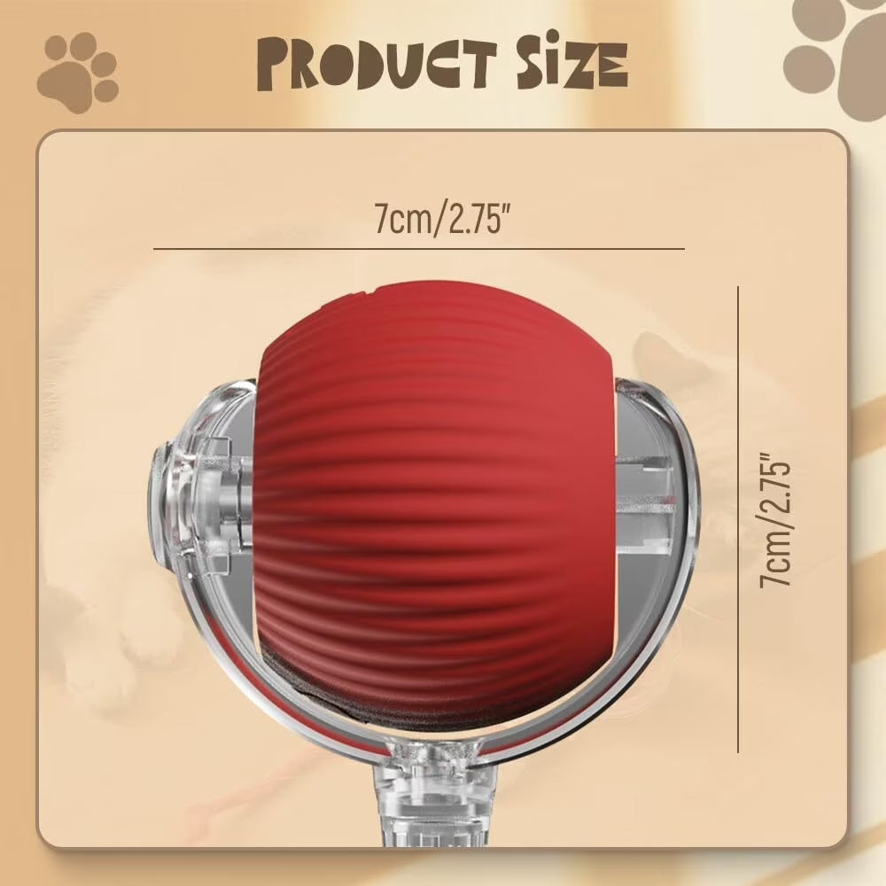 Smart Ball for cat